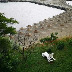 Servicii foto/ video - Bucuresti