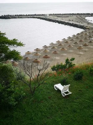 Servicii foto/ video - Bucuresti