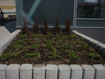 Cluj -Napoca - Proiectare - construire si intretinere spatii verzi