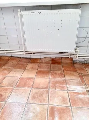 Servicii de curatenie Bucuresti
