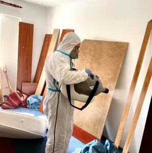 Servicii de curatenie Bucuresti