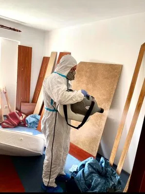 Servicii de curatenie Bucuresti
