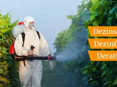 Deratizare - Dezinsectie si Dezinfectie Bucuresti