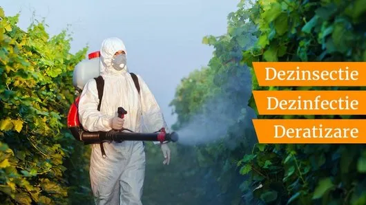 Deratizare - Dezinsectie si Dezinfectie Bucuresti