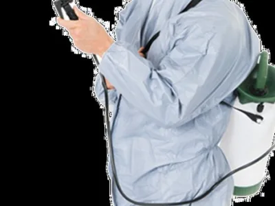 Dezinsectie - Dezinfectie apartamente - case - firme Bucuresti