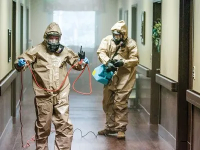 Dezinsectie - Dezinfectie apartamente - case - firme Bucuresti