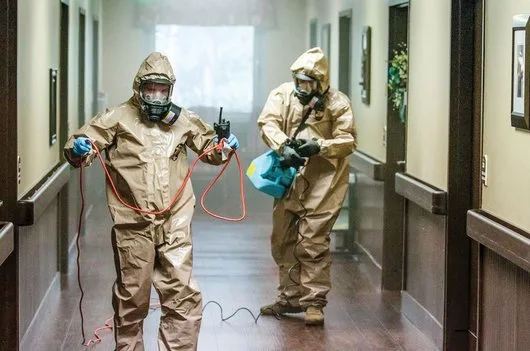 Dezinsectie - Dezinfectie apartamente - case - firme Bucuresti