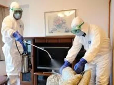 Dezinsectie - Dezinfectie apartamente - case - firme Bucuresti