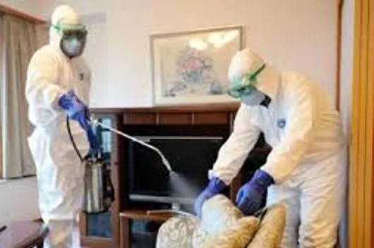 Dezinsectie - Dezinfectie apartamente - case - firme Bucuresti