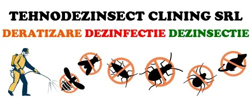Dezinsectie - dezinfectie - deratizare Bucuresti - Ilfov