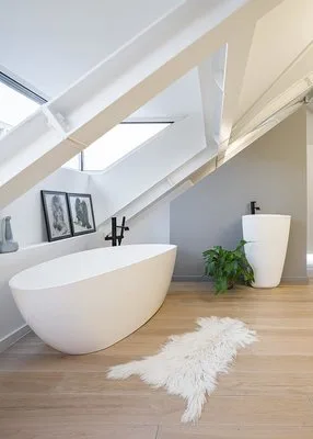 Proiecte de arhitectura si design interior