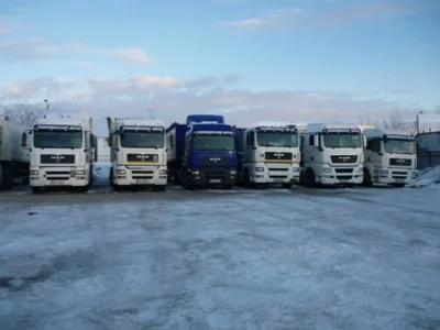 Transport rutier rapid de marfuri generale si cereale - Braila