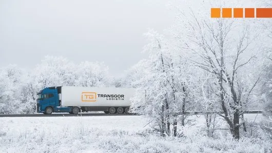 Logistica si transport rutier de marfa - Tomesti / Iasi