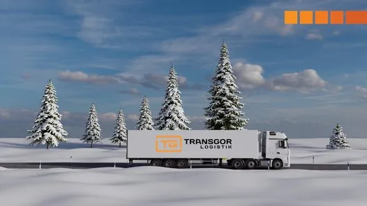 Logistica si transport rutier de marfa - Tomesti / Iasi