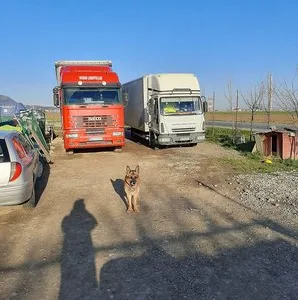 Trans -port marfa si mutari mobila - Brasov