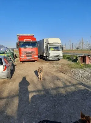 Trans -port marfa si mutari mobila - Brasov