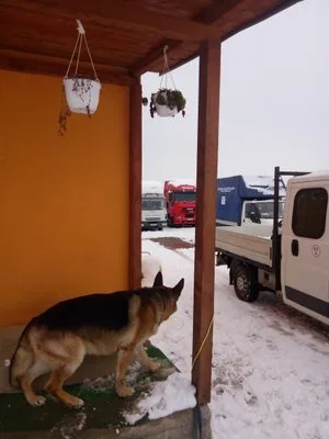 Trans -port marfa si mutari mobila - Brasov
