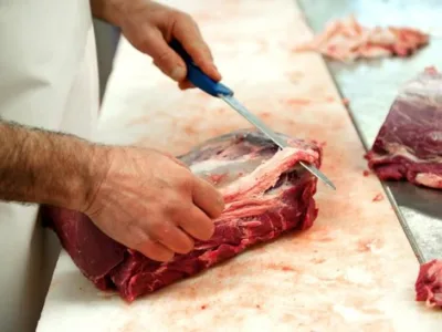 Colectare - transport si incinerare ecologica a deseurilor - Magurele / Ilfov