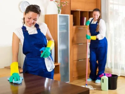 Servicii de curatenie si deratizare - Bucuresti