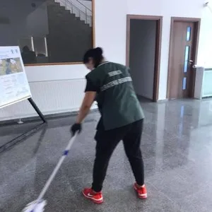 Servicii de curatenie si deratizare - Bucuresti