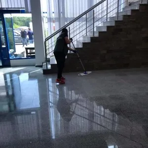 Servicii de curatenie si deratizare - Bucuresti