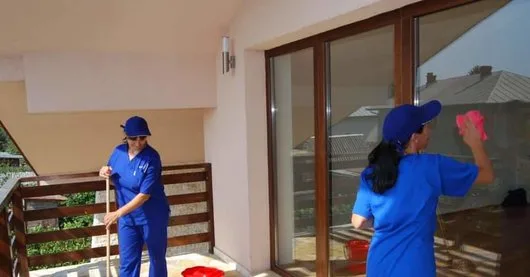 Servicii de curatenie si deratizare - Bucuresti