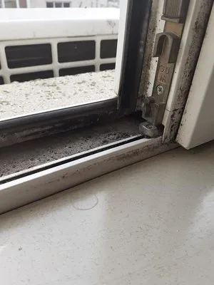 Firma curatenie Bucuresti