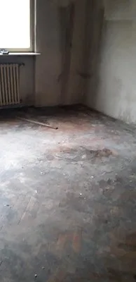 Firma curatenie Bucuresti