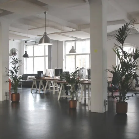 Servicii curatenie Bucuresti