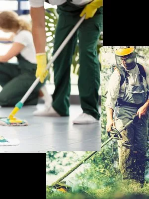 Servicii curatenie Bucuresti - Ilfov
