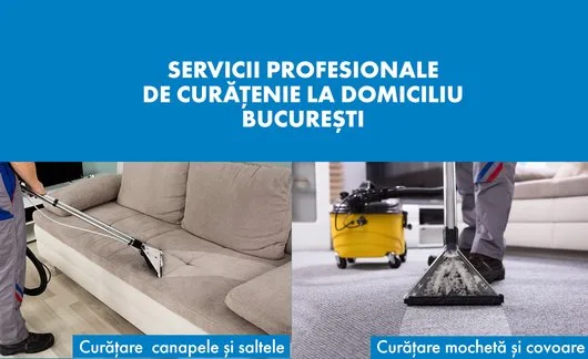 Curatare canapele saltele si tapiterie auto la domiciliu - Bucuresti