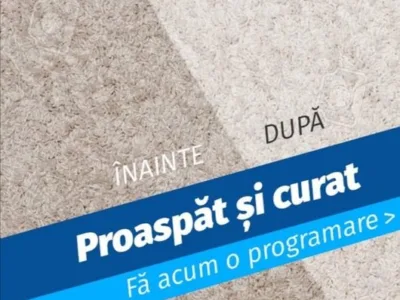 Curatare canapele saltele si tapiterie auto la domiciliu - Bucuresti
