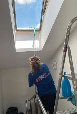 Servicii de curatenie Bucuresti