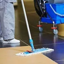 Firma de curatenie si Servicii DDD Bucuresti