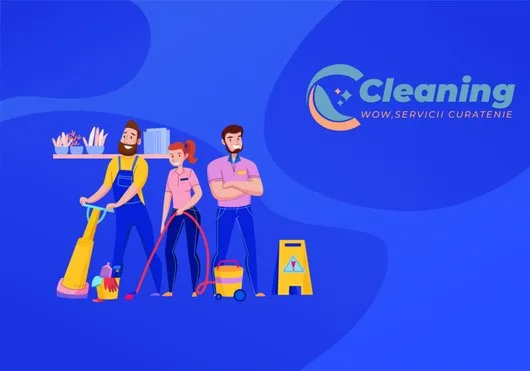 Firma curatenie Ilfov