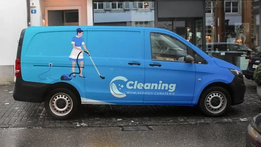 Firma curatenie Ilfov