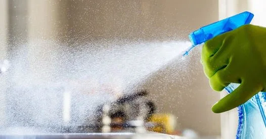 Firma curatenie Ilfov