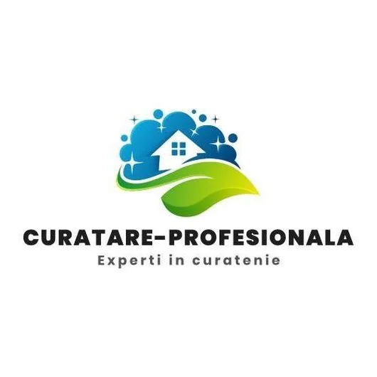 Curatare mochete - covoare Bucuresti