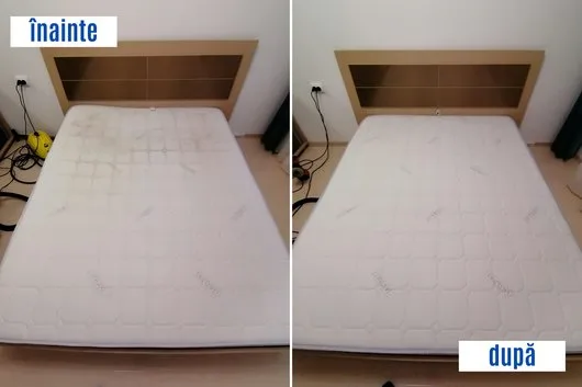 Saltele - covoare - auto Bucuresti