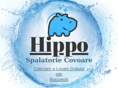 Spalatorie covoare Bucuresti