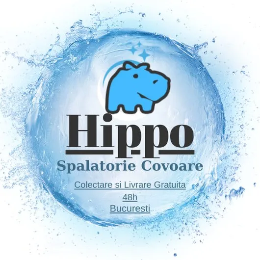 Spalatorie covoare Bucuresti
