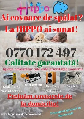 Spalatorie covoare Bucuresti