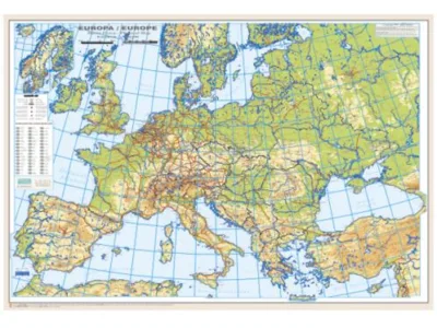 Groza Ovidiu Marius P.F.A.