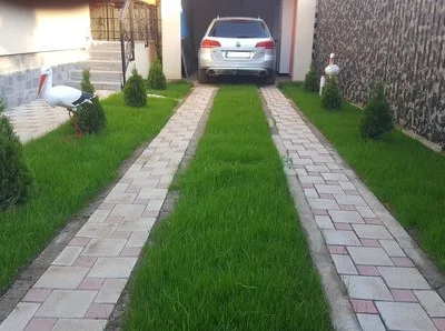 Amenajarea si intretinerea spatiilor verzi