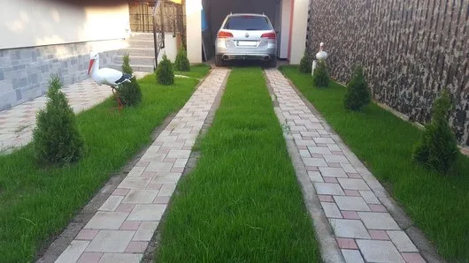 Amenajarea si intretinerea spatiilor verzi
