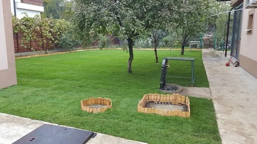 Amenajarea si intretinerea spatiilor verzi
