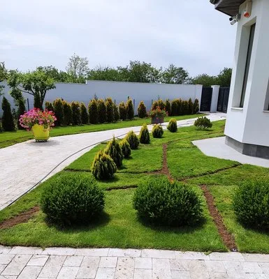 Amenajarea si intretinerea spatiilor verzi