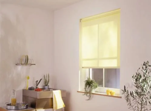 Rollstar Tehnica Parasolara Cluj