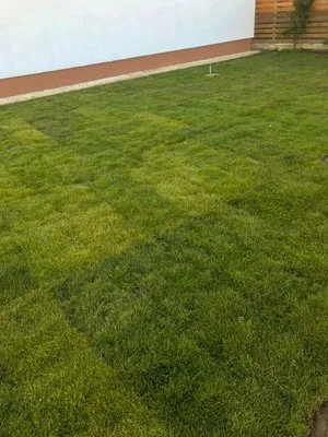 Amenajari spatii exterioare