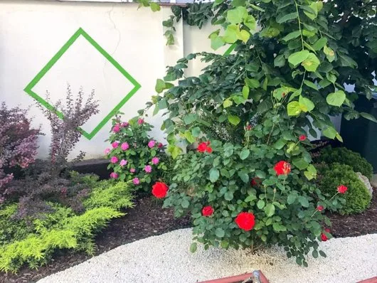 Amenajari spatii exterioare